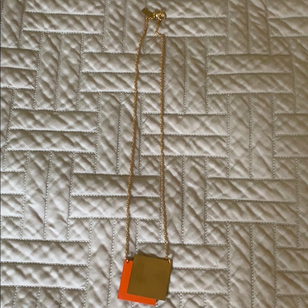 Tom Pigeon necklace 10”